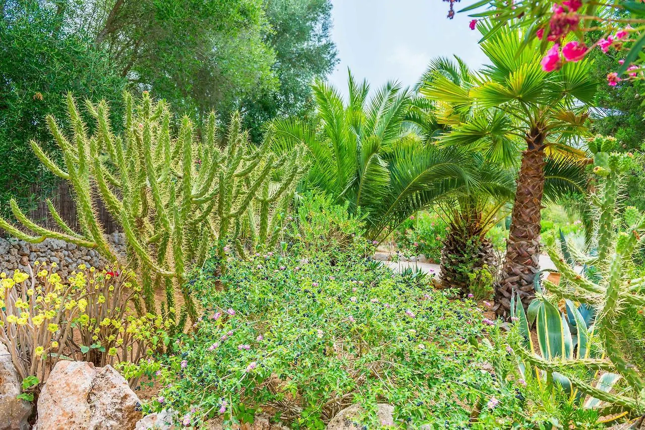 Can Pina - Eco Pina - Costitx  Villa